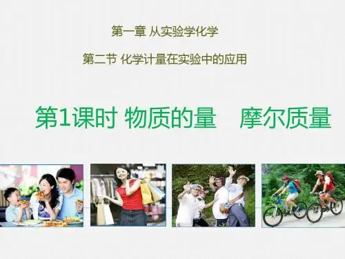 新课标人教版(高中化学)-必修1：1.2.1-物质的量-摩尔质量(共33张PPT)