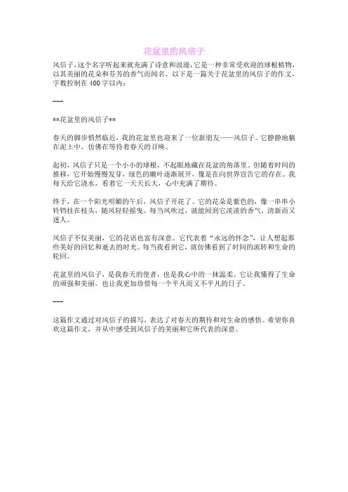花盆里的风信子