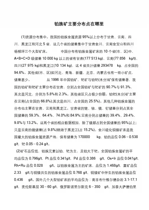 铂族矿主要分布点在哪里