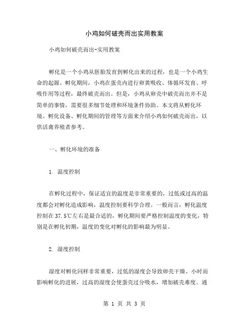 小鸡如何破壳而出实用教案