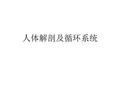 人体解剖及循环系统PP课件精品