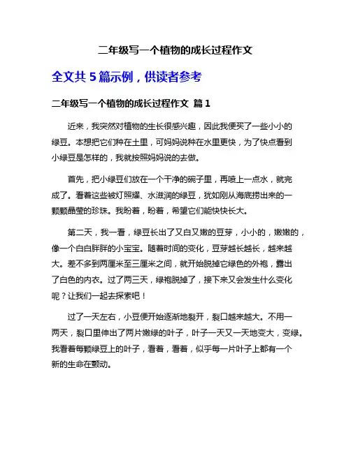 二年级写一个植物的成长过程作文