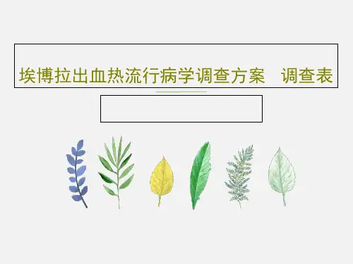 埃博拉出血热流行病学调查方案   调查表PPT33页