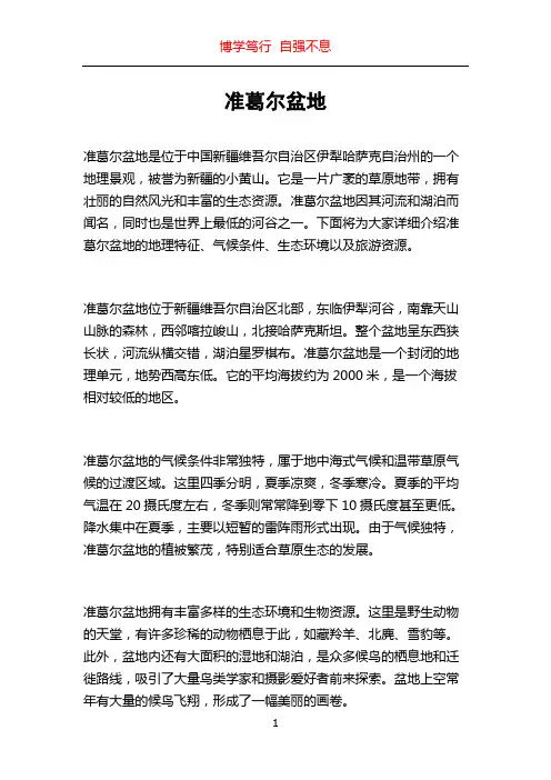 准葛尔盆地