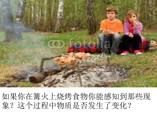 物质的变化