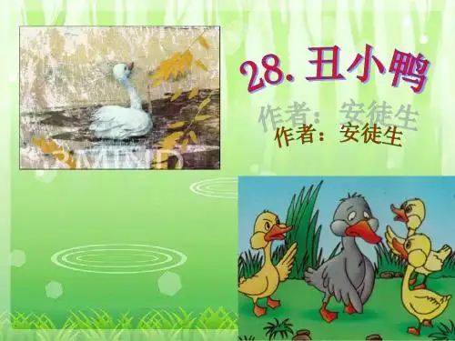 《丑小鸭》PPT课件9 (共20张PPT)