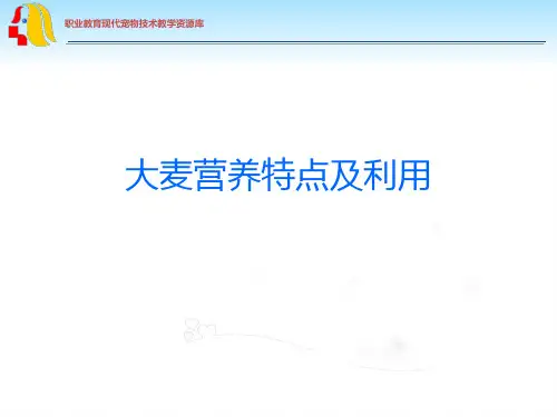 大麦营养特点及利用(精)