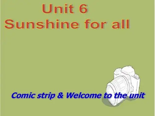 牛津译林版八年级英语下Unit6 Sunshine for all课件(30张PPT)