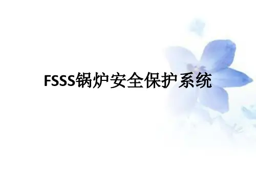 FSSS课件
