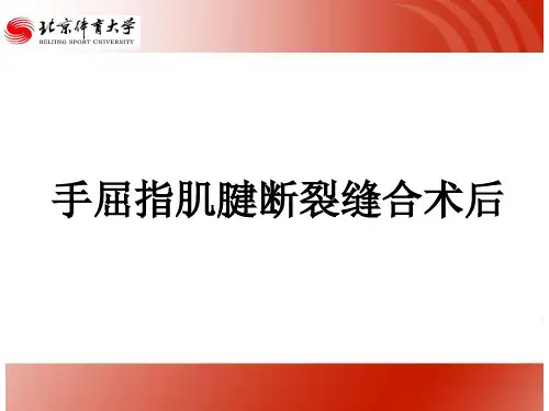 手屈指肌腱断裂缝合术后