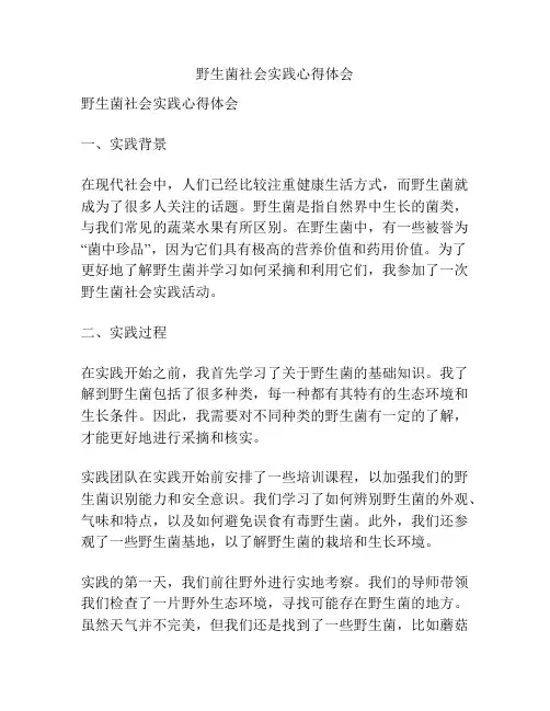 野生菌社会实践心得体会