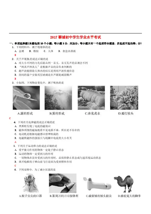 山东省聊城市2017年中考物理真题试题(含答案)-中考真题