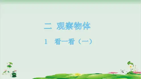 一年级下册数学精品课件-1看一看(一)-北师大版(11页PPT)