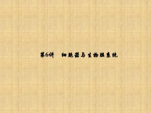 高考生物一轮复习 第二单元 细胞的基本结构和物质运输功能 第6讲 细胞器与生物膜系统名师课件 新人教版