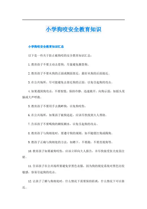 小学狗咬安全教育知识
