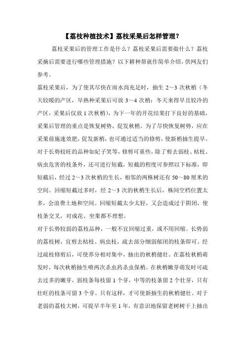 【荔枝种植技术】荔枝采果后怎样管理？