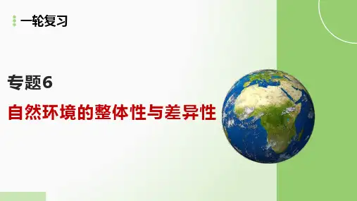 第16讲 植被与土壤(课件)高考地理一轮复习(新高考通用)