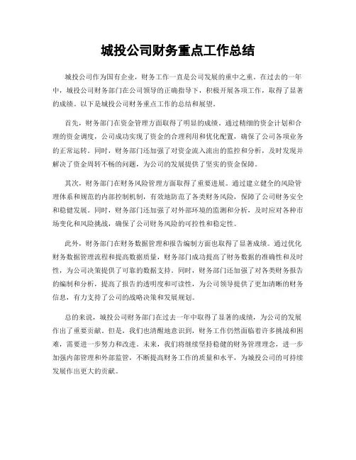 城投公司财务重点工作总结