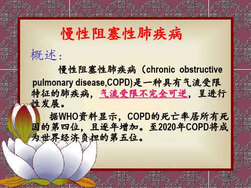 COPD、慢性支气管炎PPT课件