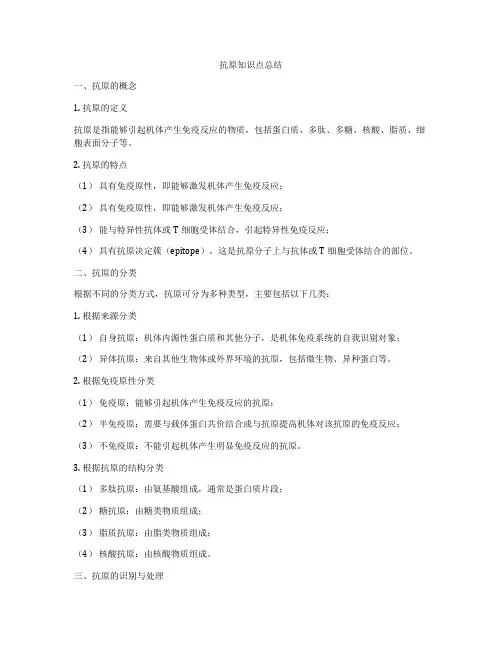 抗原知识点总结