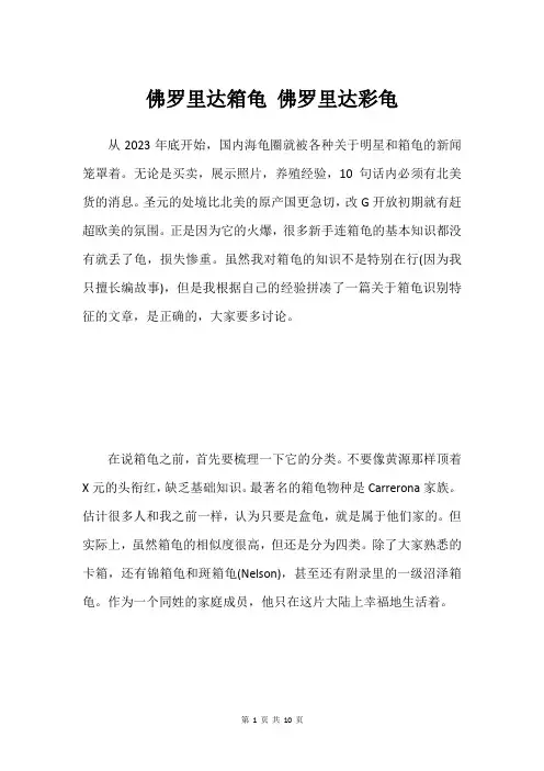 佛罗里达箱龟 佛罗里达彩龟