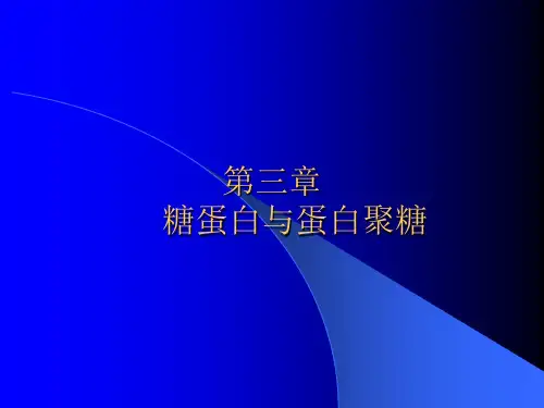 糖蛋白与蛋白聚糖