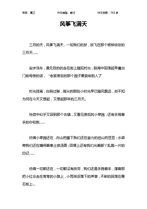 风筝飞满天作文【高中高三700字】