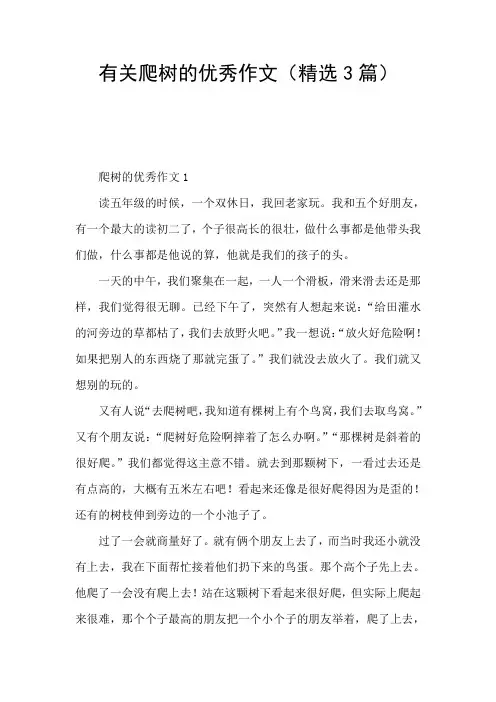 有关爬树的优秀作文(精选3篇)
