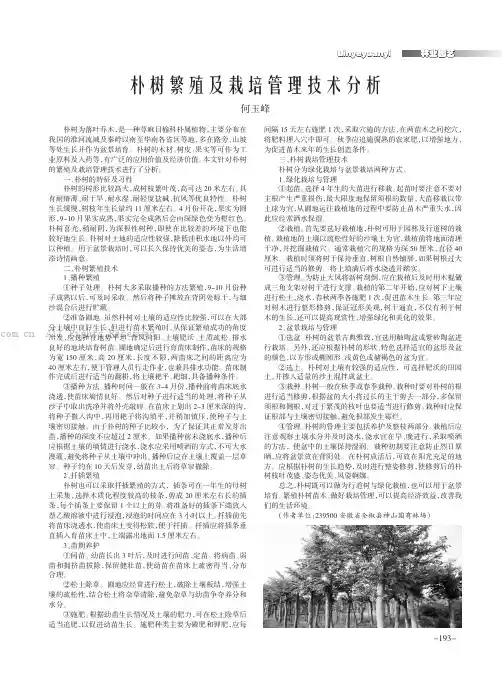 朴树繁殖及栽培管理技术分析