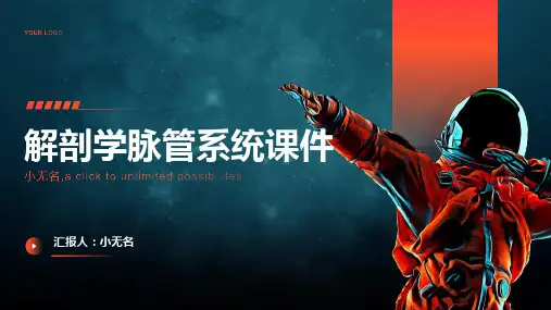 解剖学脉管系统课件