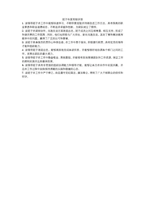 班子年度考核评语
