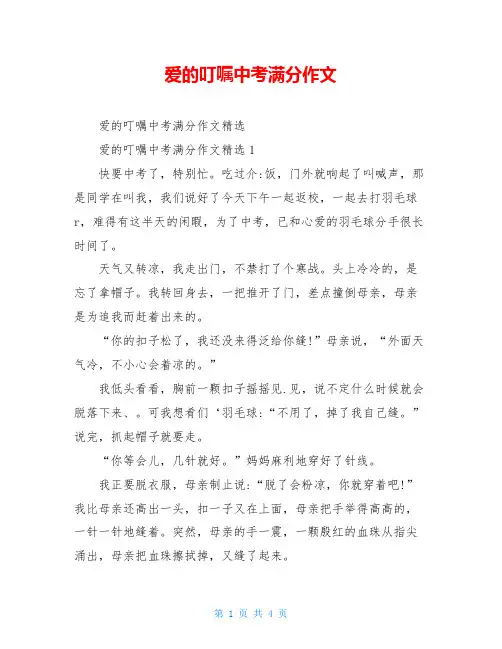 爱的叮嘱中考满分作文