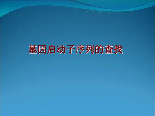 基因启动子序列的查找