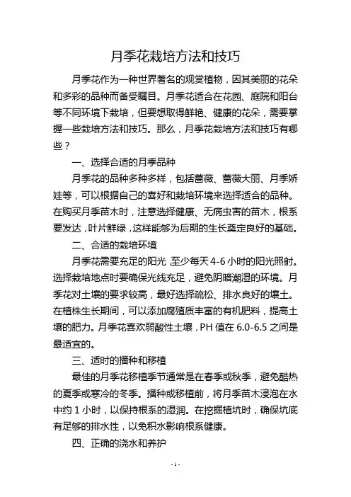 月季花栽培方法和技巧