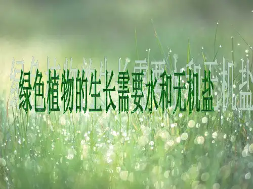 初中生物  绿色植物的生长需要水和无机盐2 苏科版精品课件