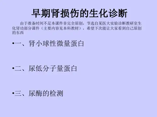早期肾损伤的生化诊断解读