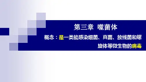 第3-5章 噬菌体、遗传变异、耐药性