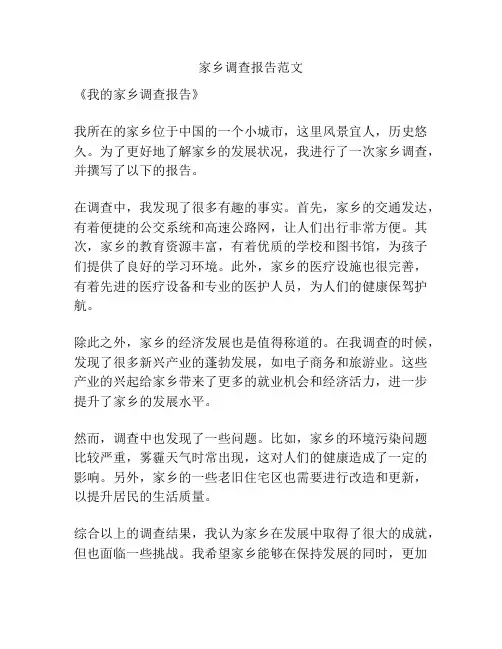 家乡调查报告范文