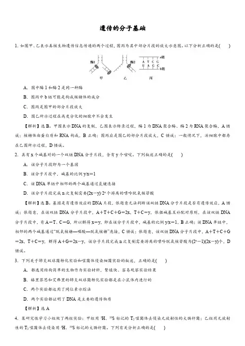 2018届二轮  遗传的分子基础 专题卷(全国通用)