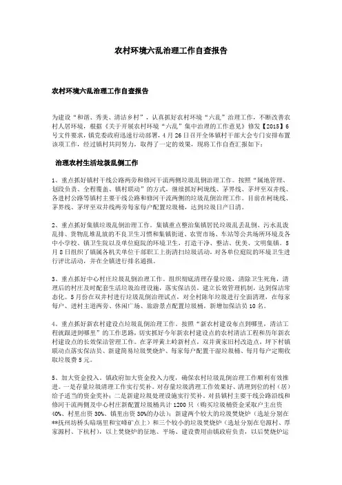 农村环境六乱治理工作自查报告