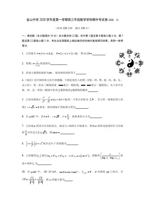 上海市金山区金山中学2020-2021学年高三上学期期中考试数学试题