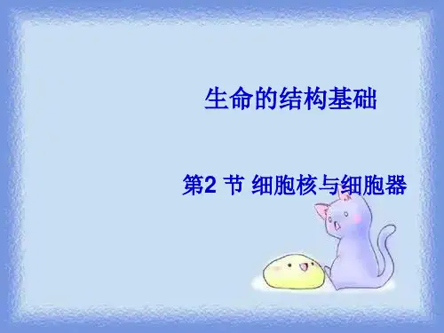 沪科版生命科学高一上3-2《细胞核和细胞器》课件