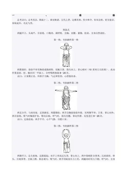 《少林易筋经》十二势图解