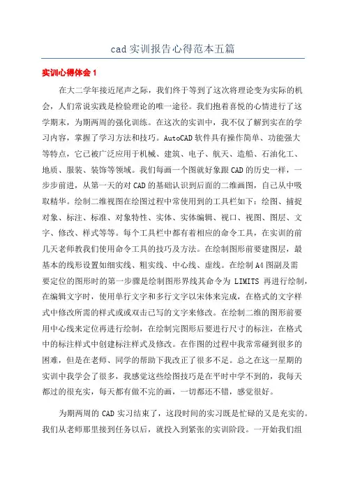cad实训报告心得范本五篇