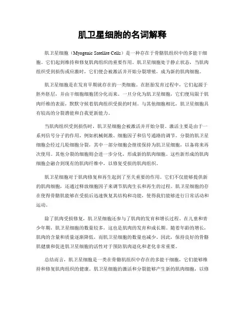 肌卫星细胞的名词解释