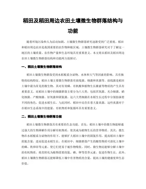 稻田及稻田周边农田土壤微生物群落结构与功能