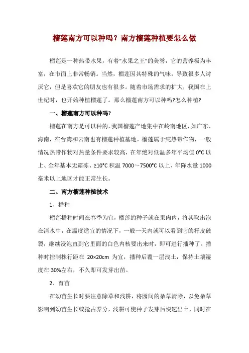 榴莲南方可以种吗？南方榴莲种植要怎么做