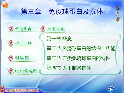 病原生物与免疫学基础课件第三章免疫球蛋白及抗体