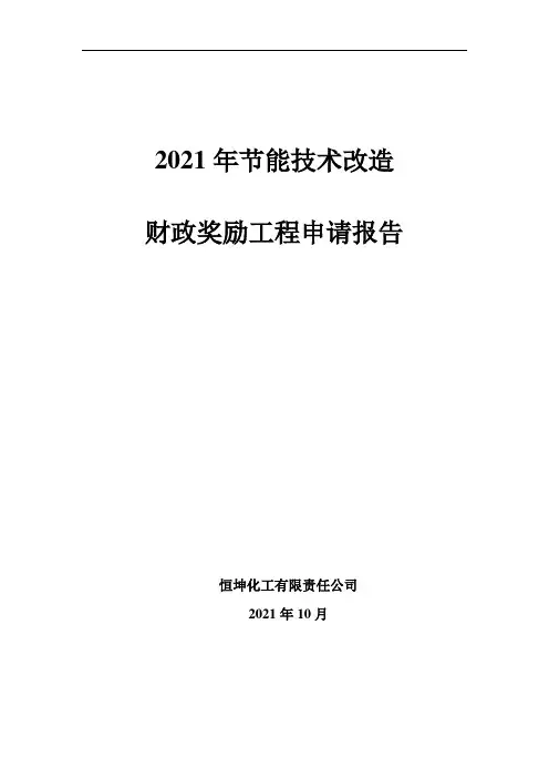 节能技术改造财政奖励项目申请报告