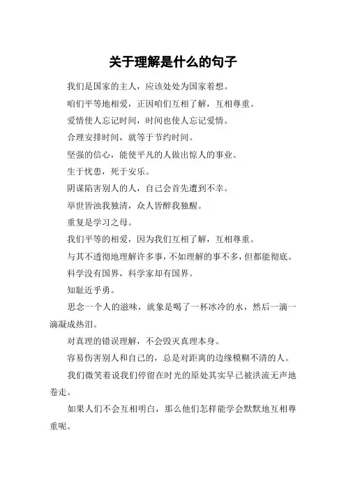关于理解是什么的句子_1